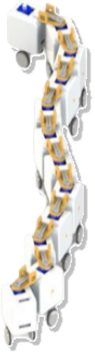 program